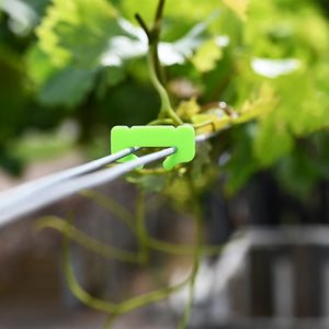 Vitagraf Canopy / Foliage Clip - Degradable