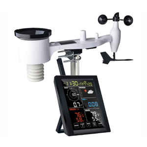Professional Weather Station WN1980 - New