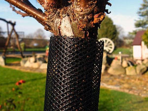 Pest Tree Guard