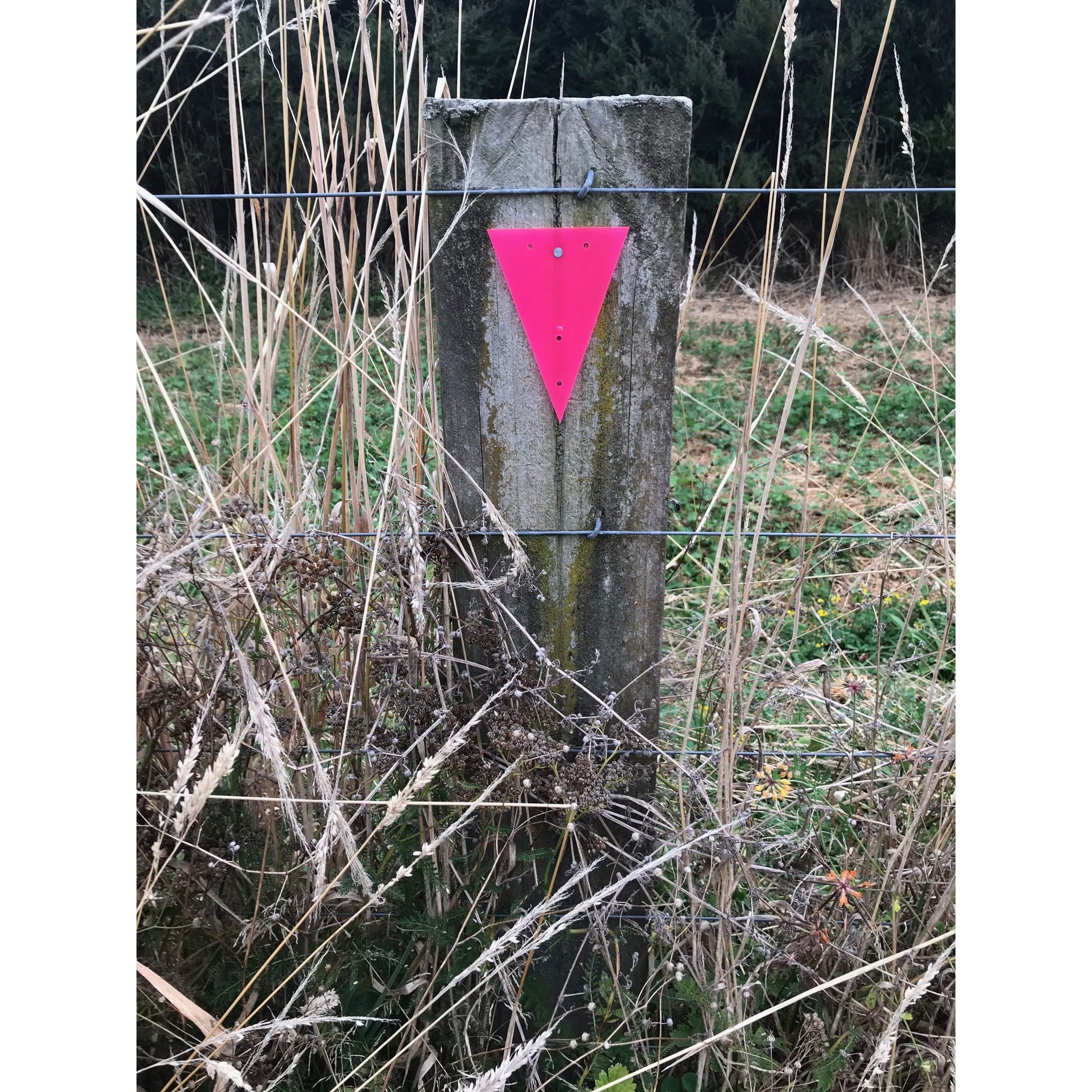 Triangle Trail Markers - Harvest Horticulture