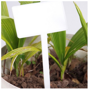 Angled Plastic Bed Markers by Harvest Horticulture NZ