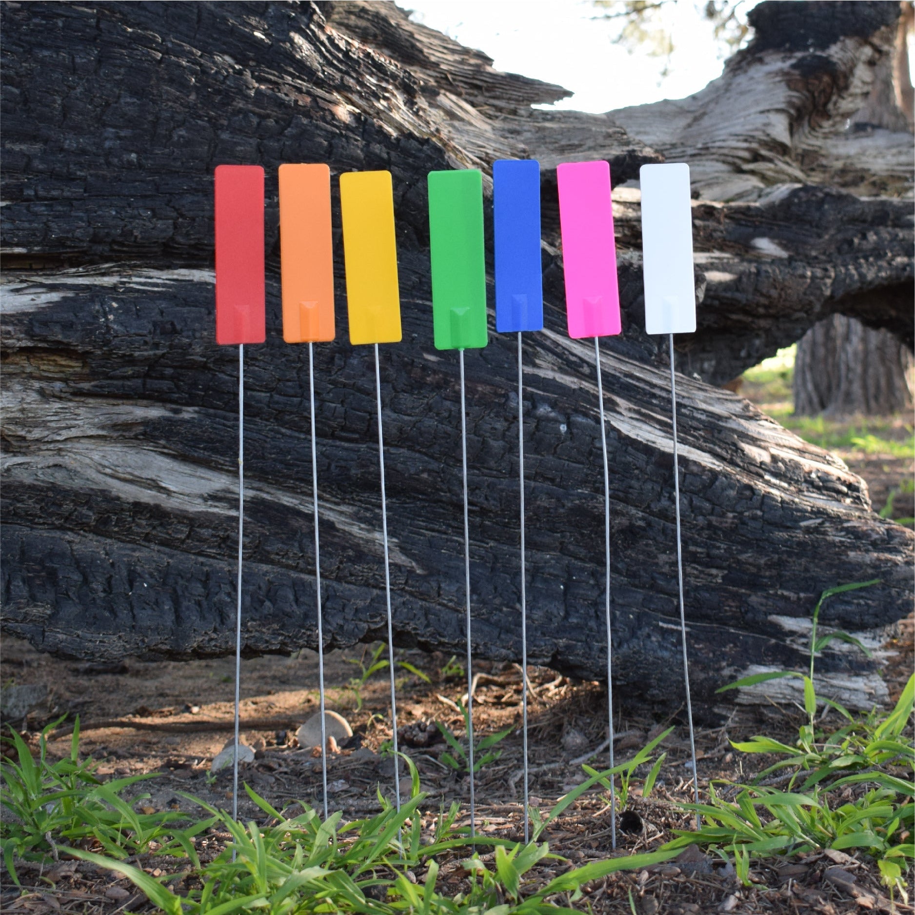 Pinned Tag Pin Tags - Harvest Horticulture